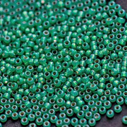 Бисер японский MIYUKI Round Rocailles 11/0 RR-646 (уп 5 г)