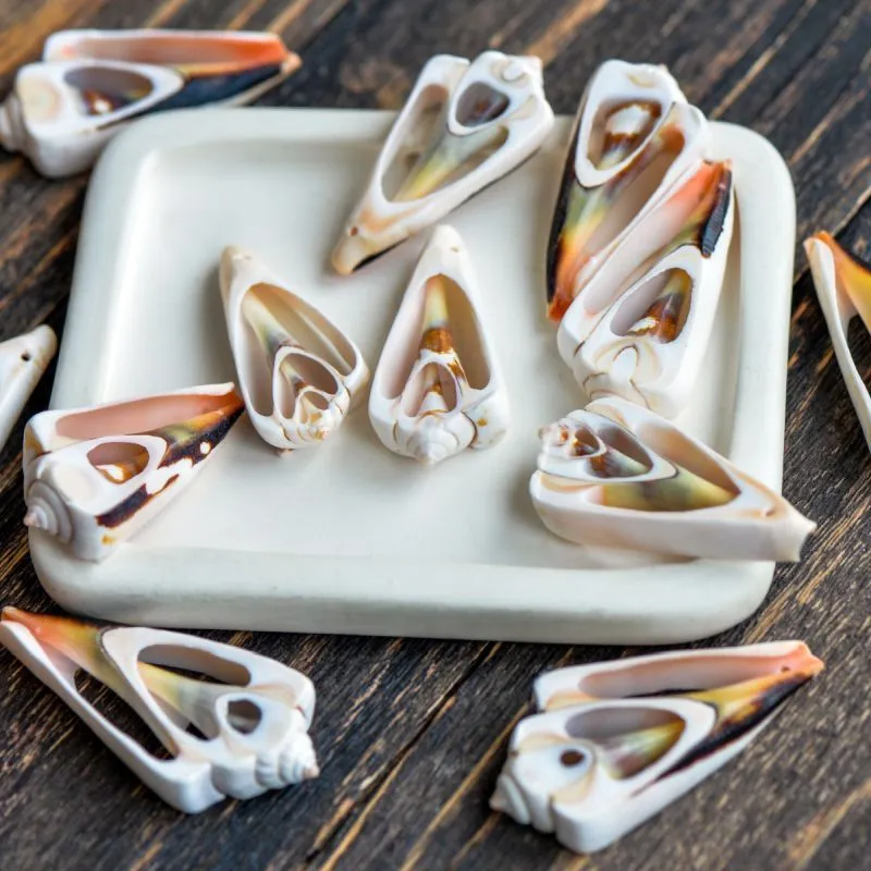 бусина из ракушки, "тригон", цвет персиковый, размерный микс